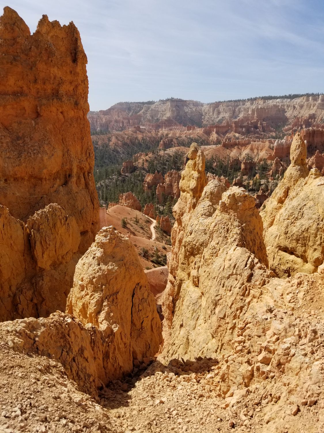 Queens/Navajo 